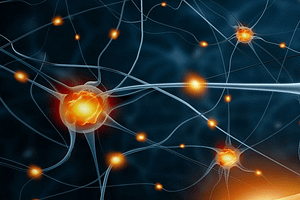 What is MS? - Image of neurons
